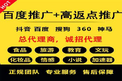 百度推广费用投入与用户转化路径的优化案例